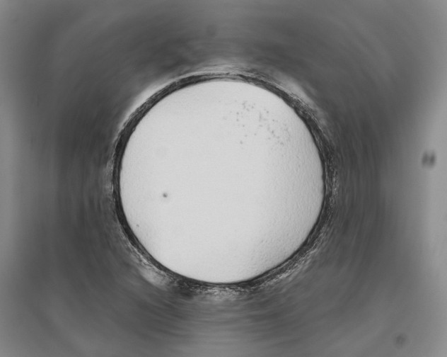 X0000096421216200802211116