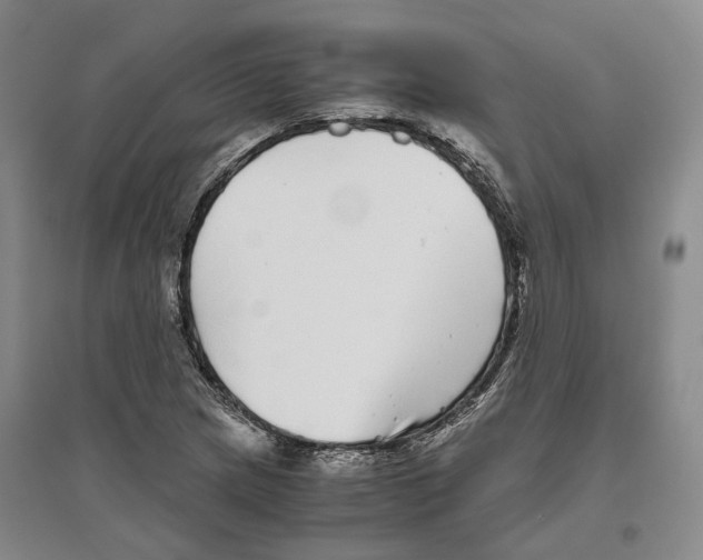 X0000096421217200802211116