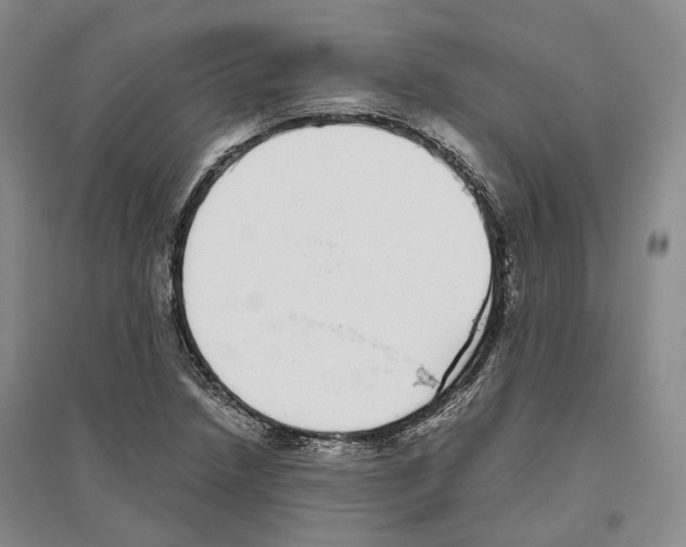 X0000096421218200802211116