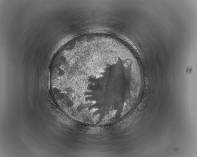 X0000096421219200802211116