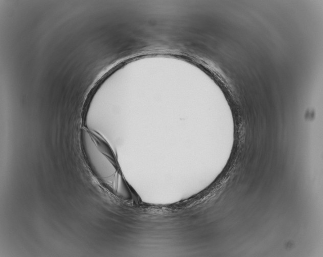 X0000096421220200802211116