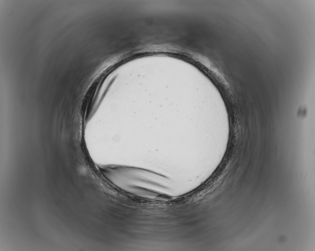X0000096421221200802211116