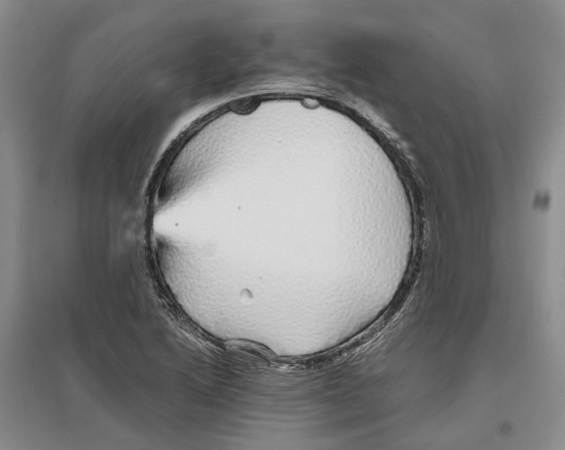 X0000096421222200802211116