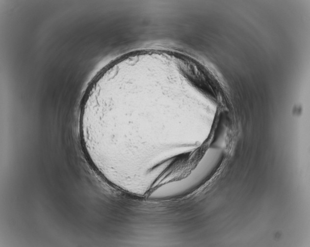 X0000096421224200802211116