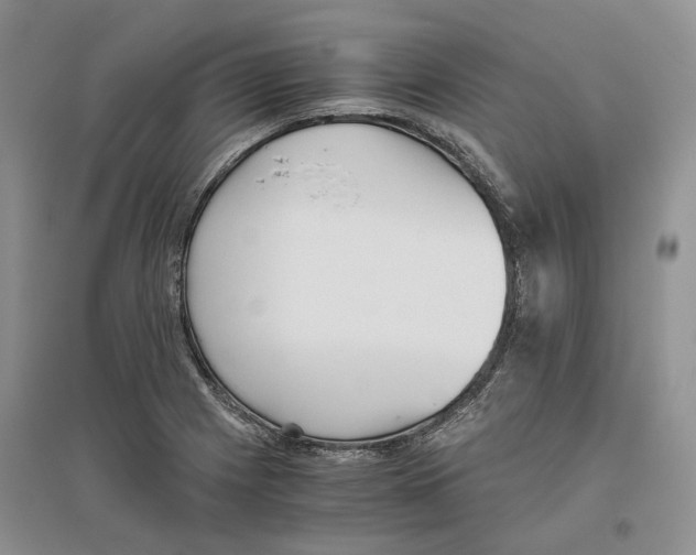 X0000096421225200802211116