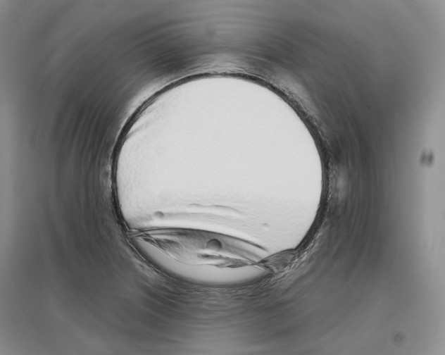 X0000096421226200802211116