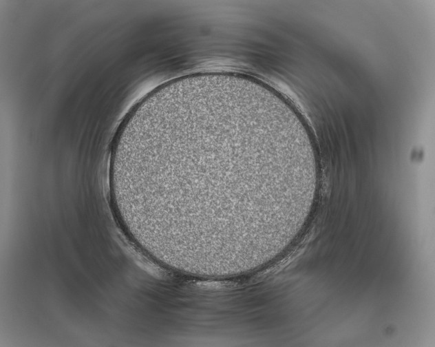 X0000096421227200802211116