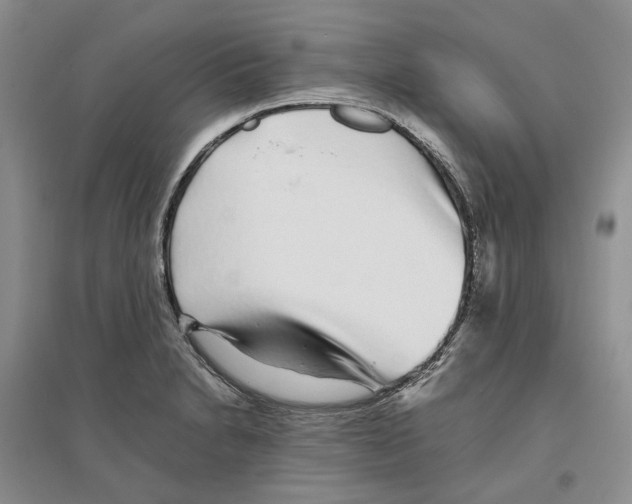 X0000096421230200802211116