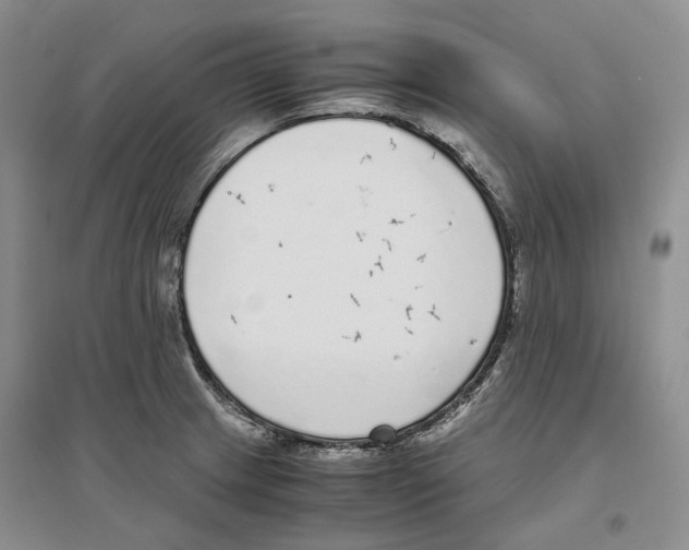 X0000096421233200802211116