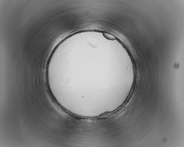 X0000096421234200802211116