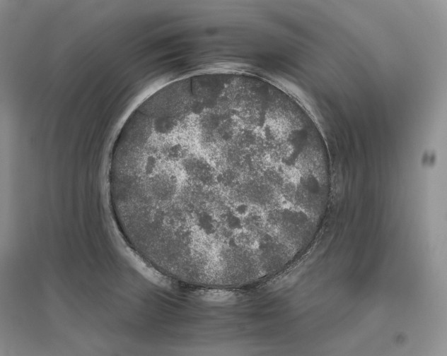 X0000096421235200802211116