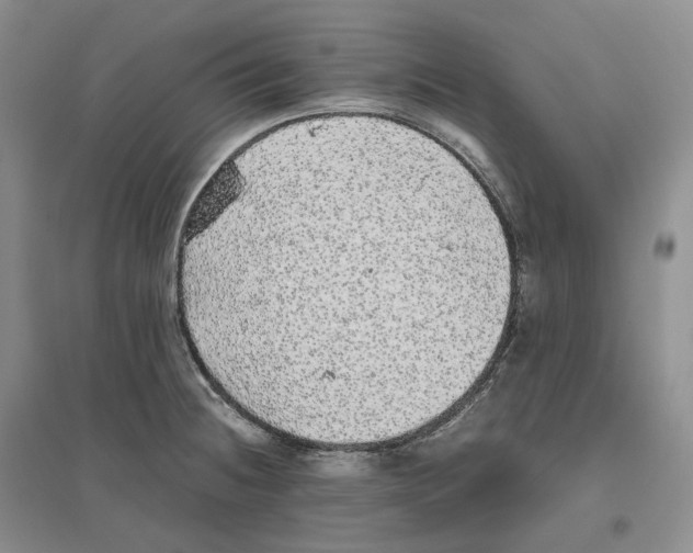 X0000096421236200802211116
