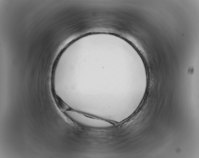 X0000096421237200802211116
