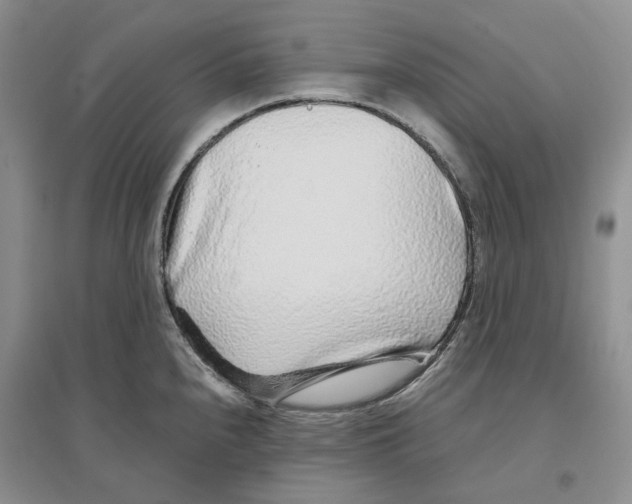 X0000096421240200802211116