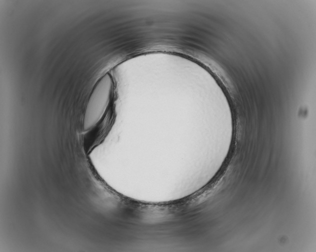 X0000096421241200802211116