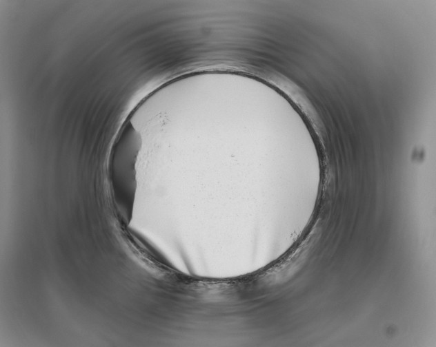 X0000096421242200802211116