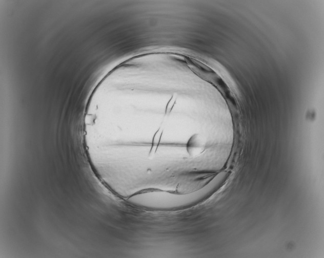 X0000096421244200802211116