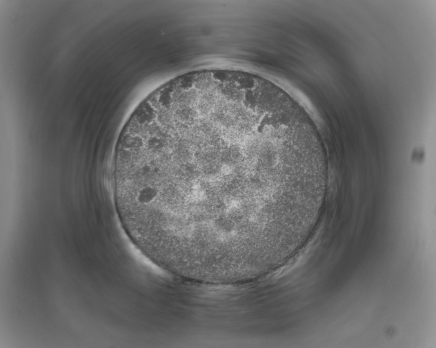 X0000096421247200802211116