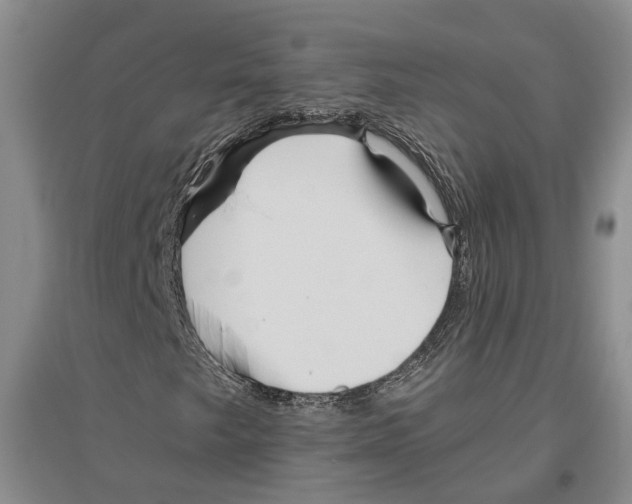 X0000096421249200802211116