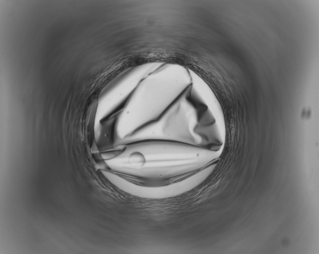 X0000096421250200802211116