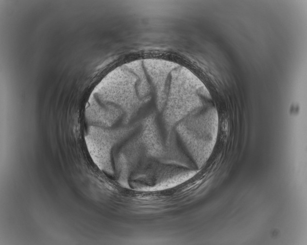 X0000096421252200802211116