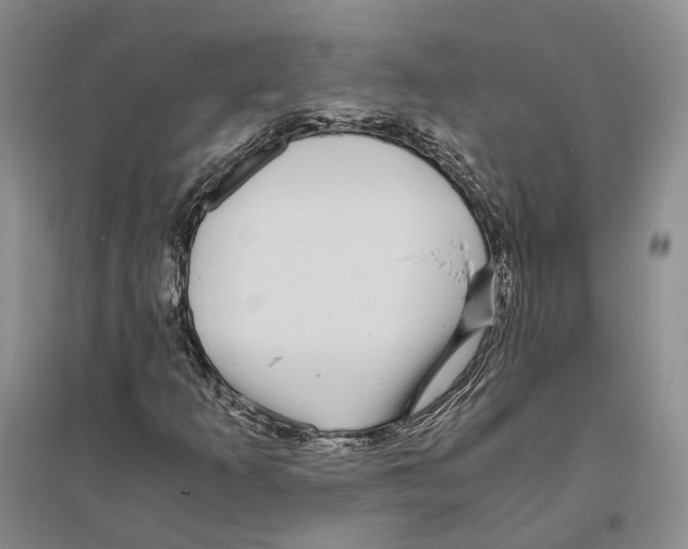 X0000096421253200802211116