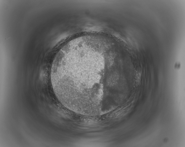 X0000096421254200802211115