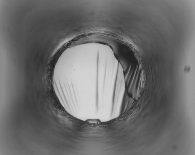 X0000096421256200802211115