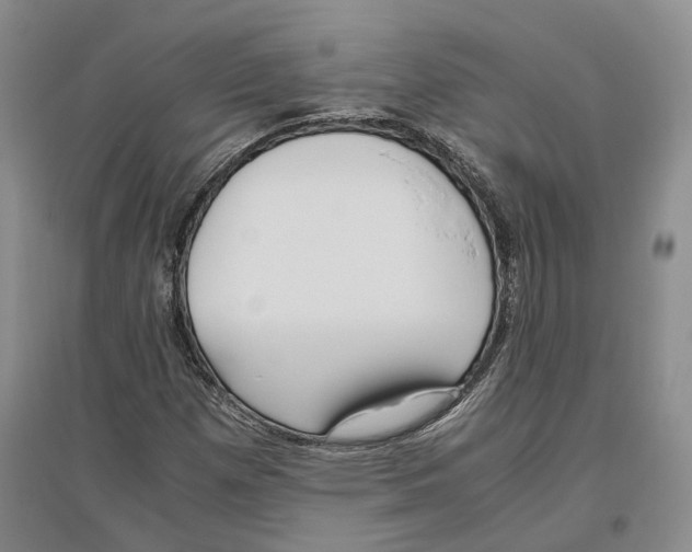 X0000096421257200802211115