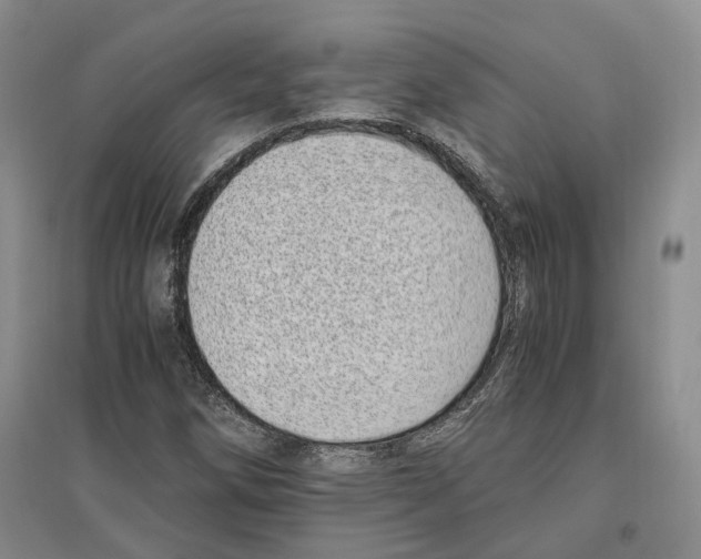 X0000096421258200802211115