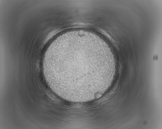 X0000096421259200802211115