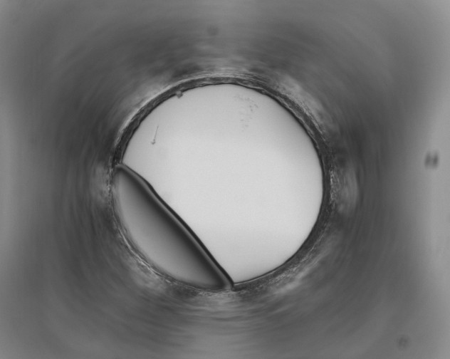 X0000096421260200802211115
