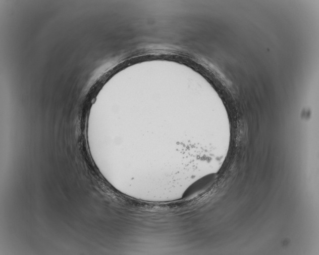 X0000096421261200802211115