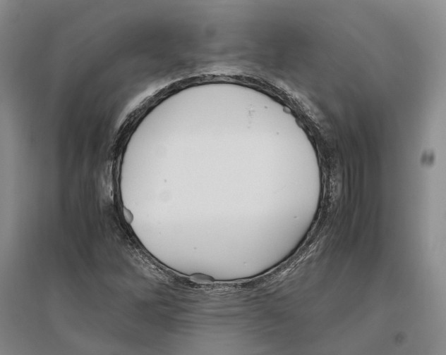X0000096421262200802211115