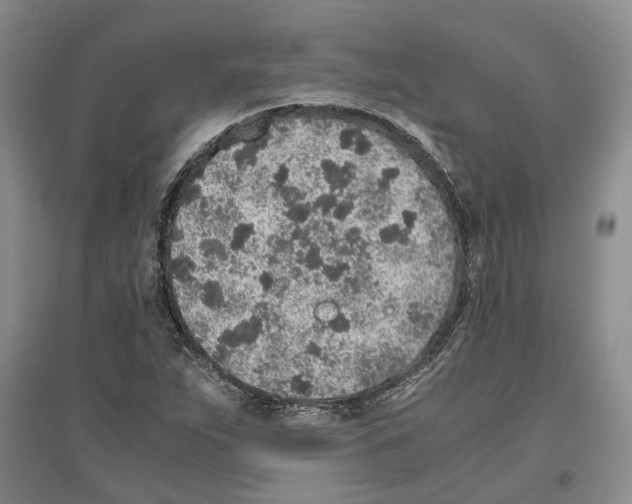 X0000096421263200802211115