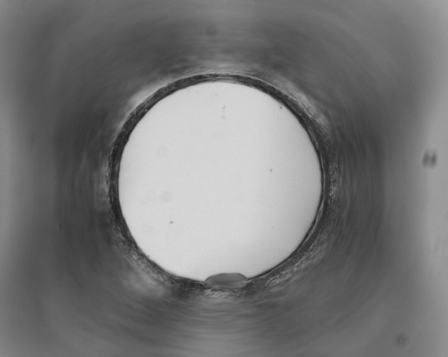 X0000096421264200802211115