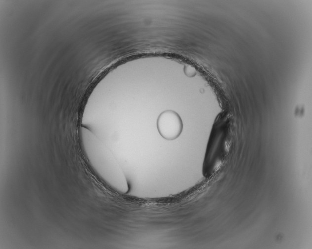 X0000096421265200802211115