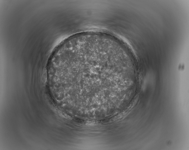 X0000096421267200802211115