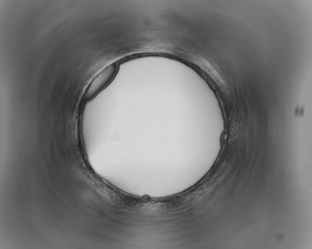 X0000096421268200802211115