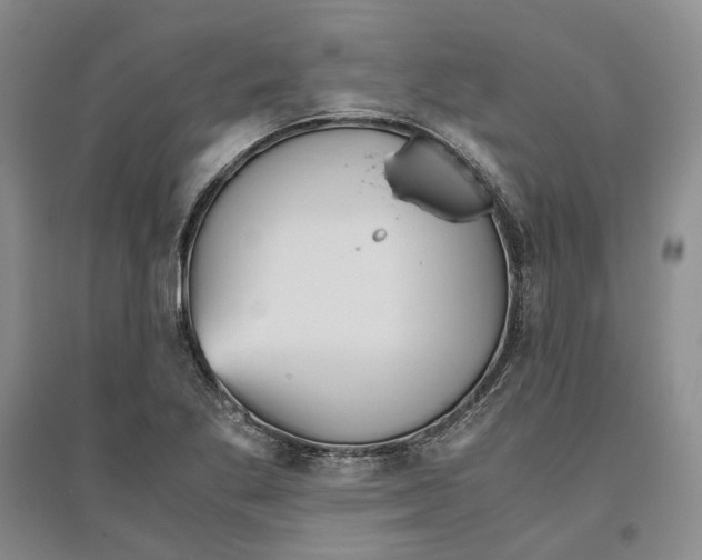 X0000096421269200802211115