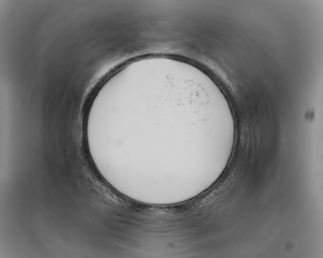 X0000096421270200802211115