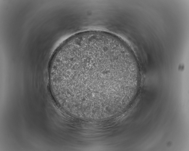 X0000096421271200802211115