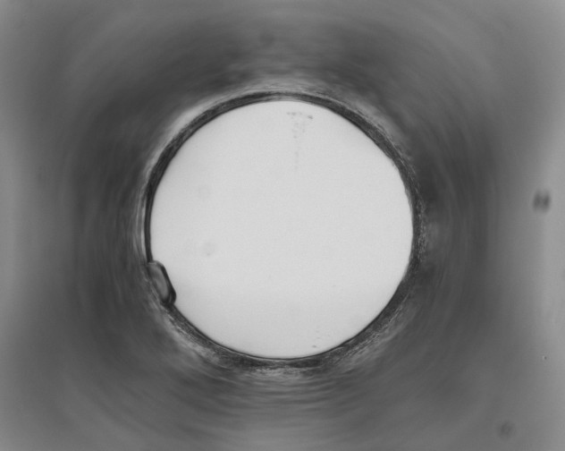 X0000096421272200802211115