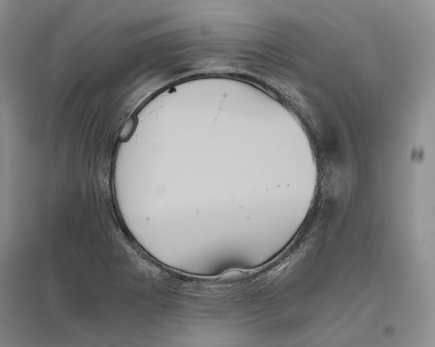 X0000096421273200802211115