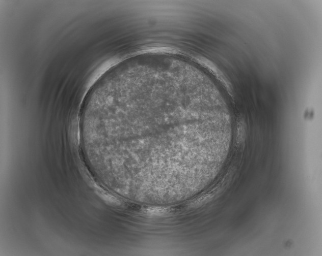 X0000096421274200802211115