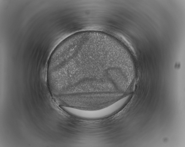 X0000096421276200802211115