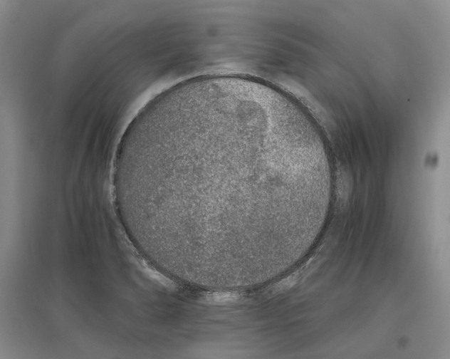 X0000096421278200802211115