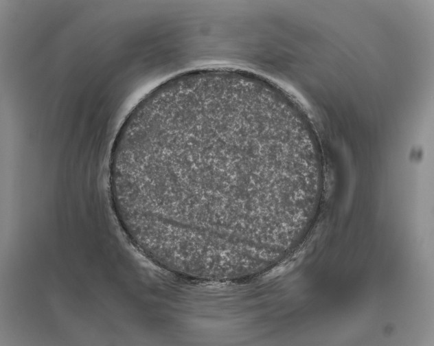 X0000096421279200802211115
