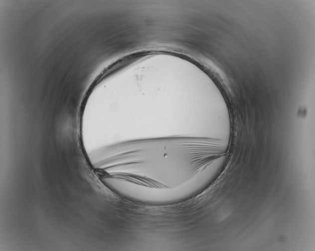 X0000096421280200802211115