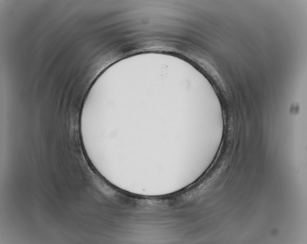 X0000096421281200802211115